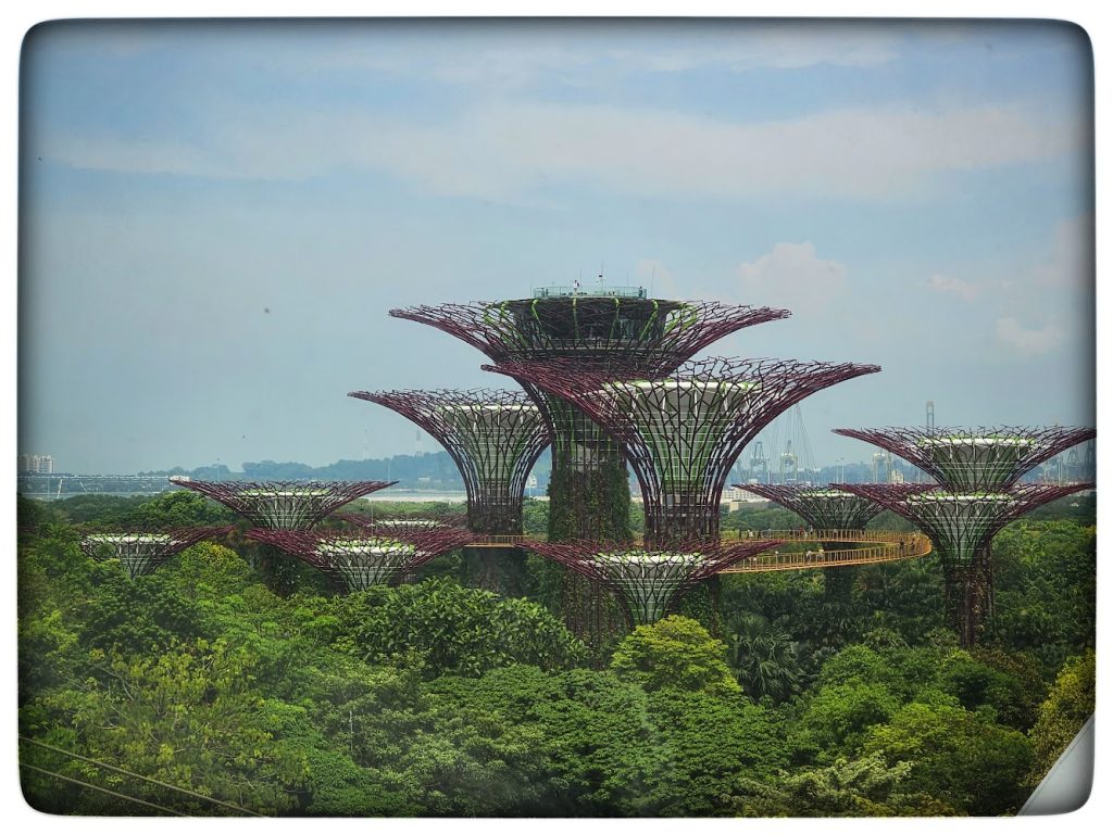 IMMAGINE DEI FAMOSI ALBERI DEI GIARDINI DI SINGAPORE CHE SONO STATI COSTRUITI IN FERRO E RIVESTITI INTERAMENTE DI PIANTE VERE CHE SI ERGONO A CENTINAIA DI METRI DI ALTEZZA CON VISTA SUL MARE