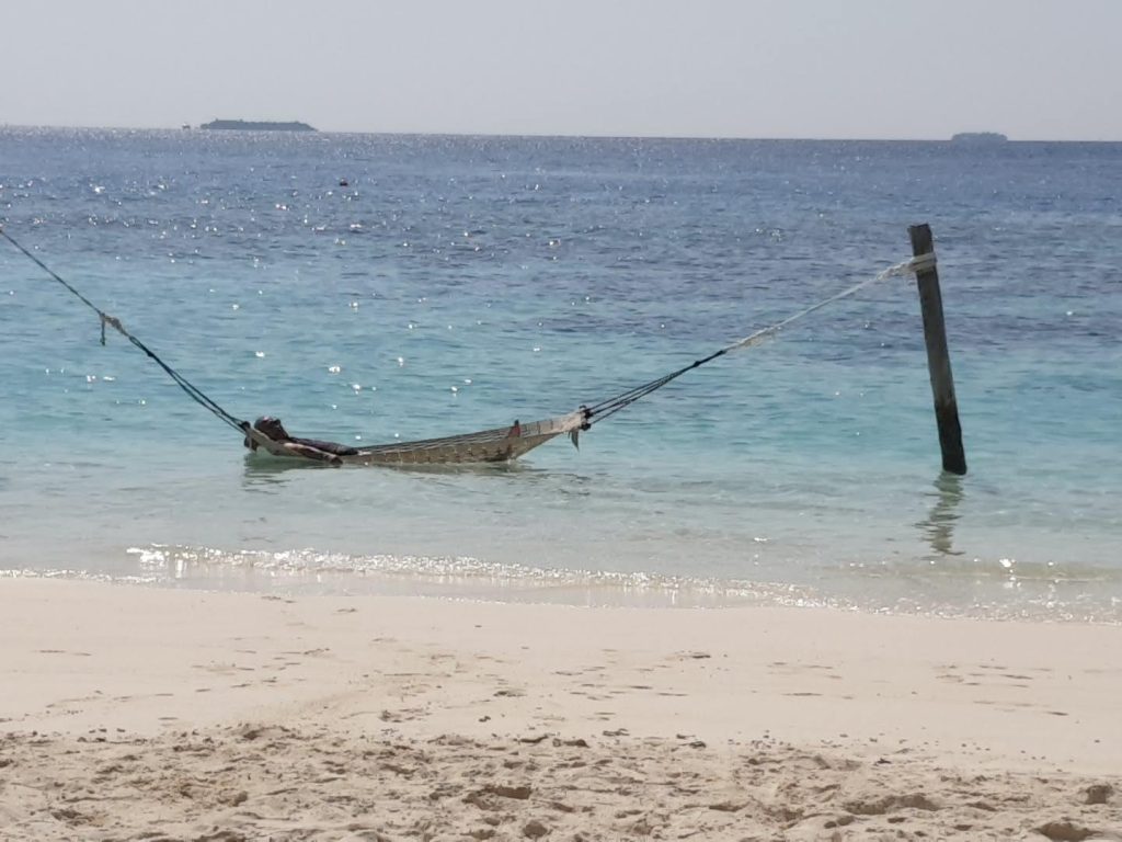 AMACA SOSPESA IN RIVA AL MARE