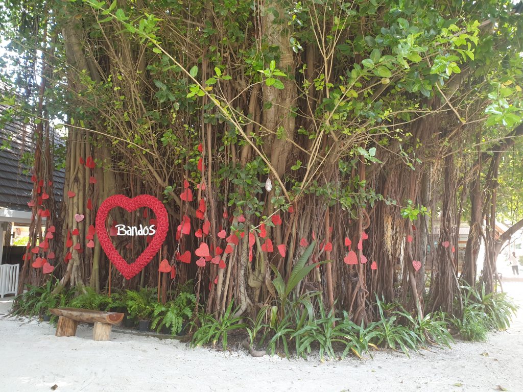 ALBERO ALL'INTERNO DEL RESORT CON IL NOME BANDOS ALL'INTERNO DI UN CUORE ROSSO